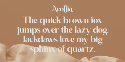 Acollia Font Poster 2