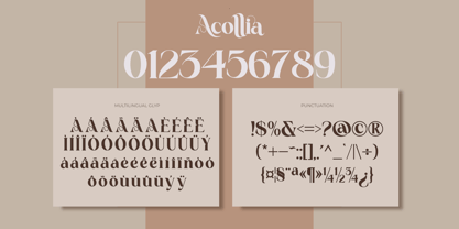 Acollia Font Poster 7