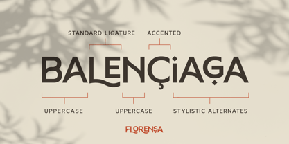 Florensa Font | Webfont & Desktop | MyFonts