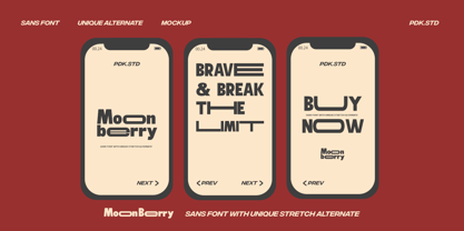 Moon Berry Font Poster 7