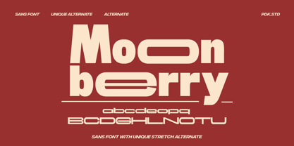 Moon Berry Fuente Póster 10