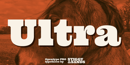 Ultra Pro Font Poster 1