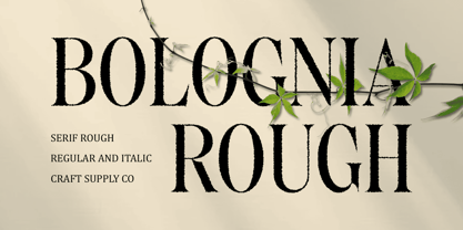 Bolognia Rough Font Poster 1