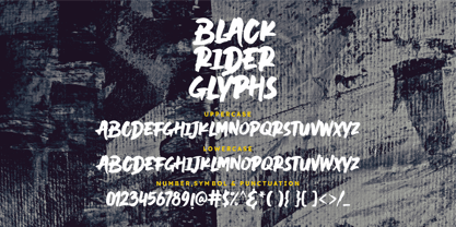 Black Rider Font Poster 6