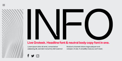 Live Grotesk Font Poster 8