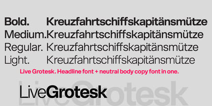 Live Grotesk Font Poster 2