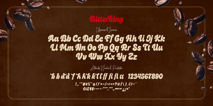 Bitterking Font Poster 6