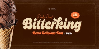 Bitterking Font Poster 1