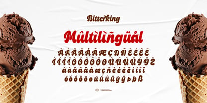 Bitterking Font Poster 7