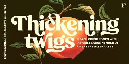 Peach Crush Font Poster 2