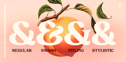 Peach Crush Font Poster 15