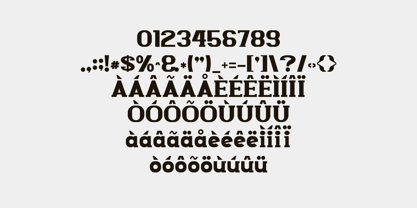 Bidola Font Poster 5