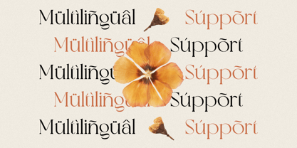 Valooron Font Poster 11