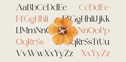 Valooron Font Poster 8