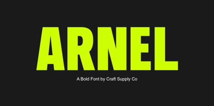 Arnel Font Poster 7