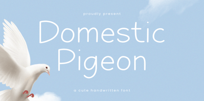 Domestic Pigeon Font Poster 1