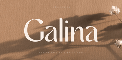 Galina Font Poster 1