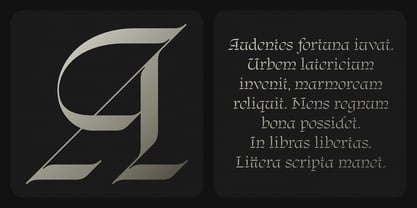 Regnio Font Poster 3