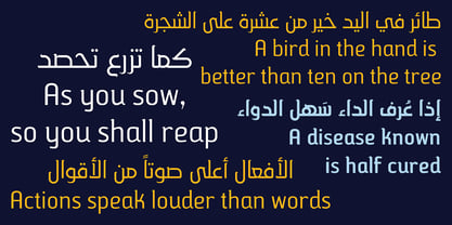 HS Hadeel Serif Font Poster 13