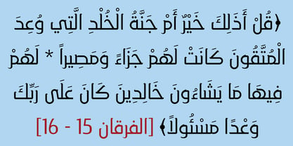 HS Hadeel Serif Font Poster 4