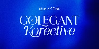 Reasont Font Poster 7