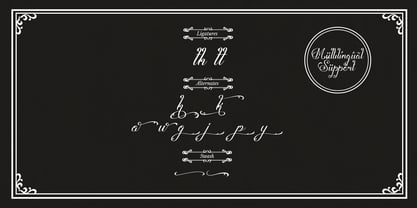 Shatoryu Font Poster 12