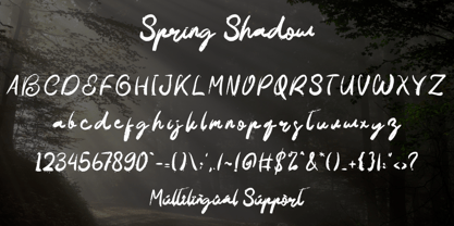 Spring Shadow Font Poster 5