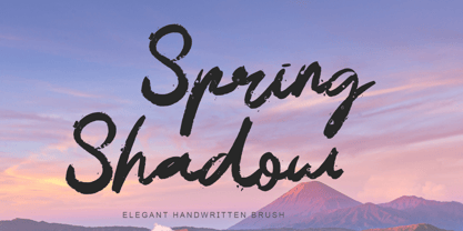 Spring Shadow Font Poster 1