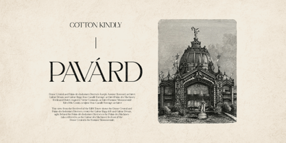 Cotton Kindly Font Poster 3