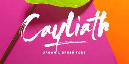 Cayliath Brush Font Poster 1