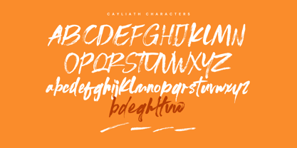 Cayliath Brush Font Poster 6