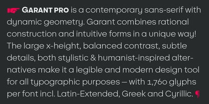 BF Garant Pro Font Poster 4