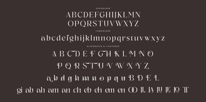 Albegos Font Poster 7