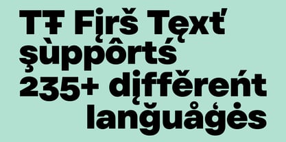 TT Firs Text Font Poster 7