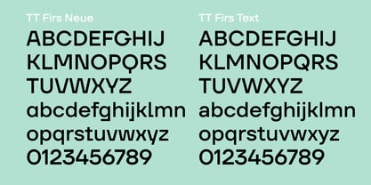 TT Firs Text Font Poster 15