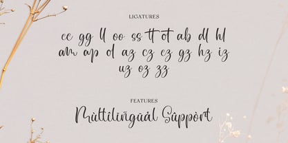 Chiquetta Font Poster 11