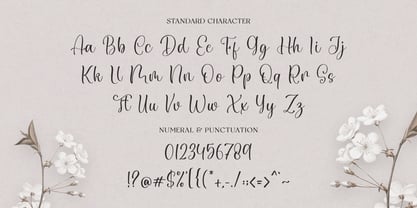 Chiquetta Font Poster 9