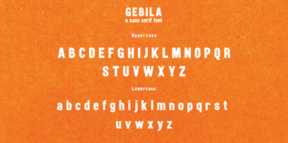 Gebila Font Poster 9