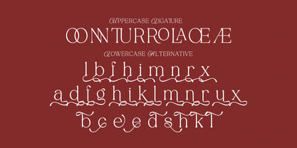 Tenopate Font Poster 13