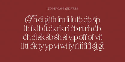 Tenopate Font Poster 11