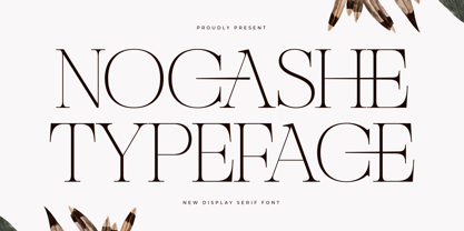 Nocashe Font Poster 1