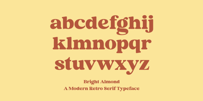 Bright Almond Font Poster 11
