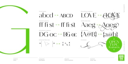 Fason Font Poster 11