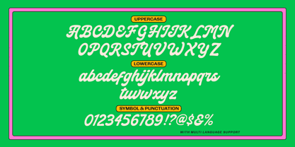 Grand Mottley Font Poster 11