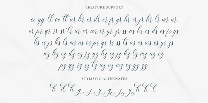 Luxuryone Calligraphy Font Poster 10
