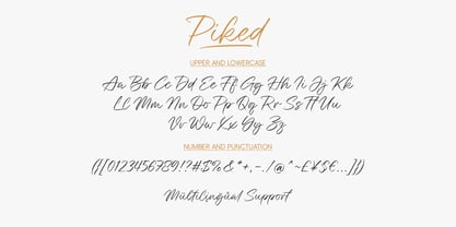 Piked Font Poster 6