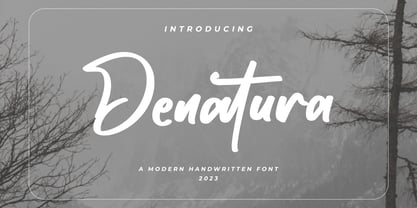 Denatura Font Poster 1