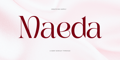 Maeda Font Poster 1