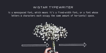 Wistar Type Font Poster 2