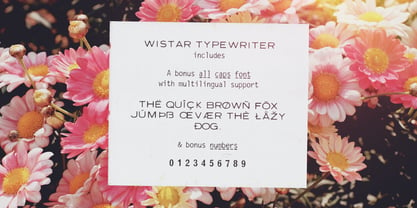 Wistar Type Font Poster 6